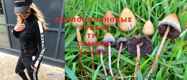 дживик Волоколамск