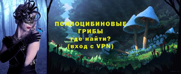 дживик Волоколамск